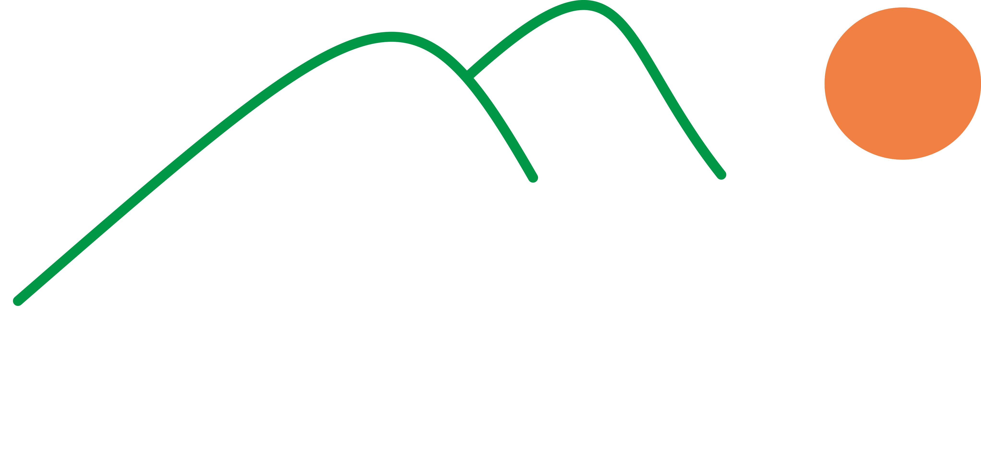 IIT Mandi Logo